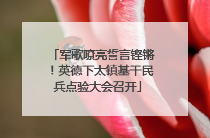 军歌嘹亮誓言铿锵！英德下太镇基干民兵点验大会召开