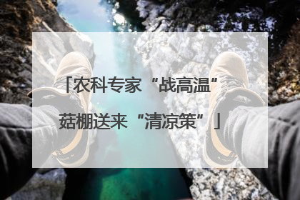 农科专家“战高温” 菇棚送来“清凉策”