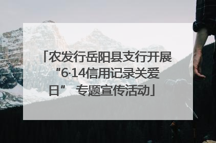 农发行岳阳县支行开展“6·14信用记录关爱日” 专题宣传活动
