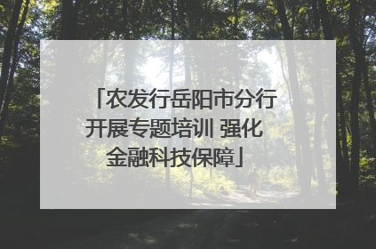 农发行岳阳市分行开展专题培训 强化金融科技保障