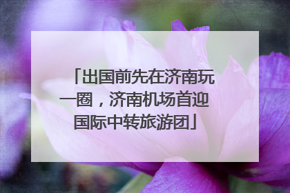 出国前先在济南玩一圈，济南机场首迎国际中转旅游团