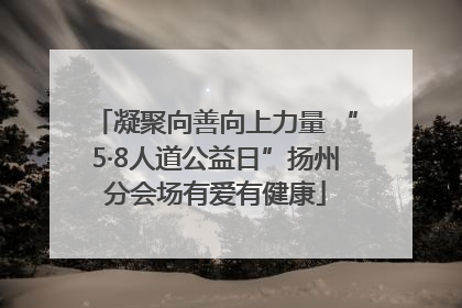 凝聚向善向上力量 “5·8人道公益日”扬州分会场有爱有健康