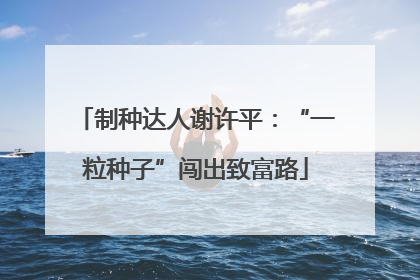 制种达人谢许平：“一粒种子”闯出致富路