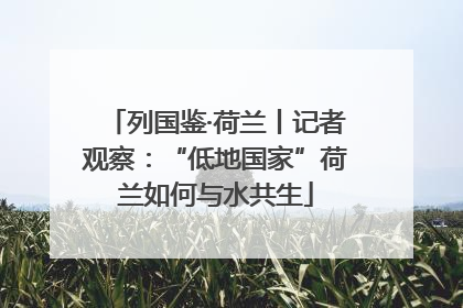 列国鉴·荷兰丨记者观察：“低地国家”荷兰如何与水共生
