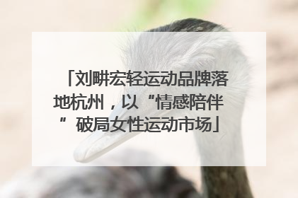 刘畊宏轻运动品牌落地杭州，以“情感陪伴”破局女性运动市场