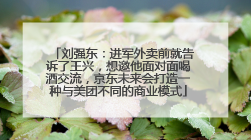 刘强东：进军外卖前就告诉了王兴，想邀他面对面喝酒交流，京东未来会打造一种与美团不同的商业模式