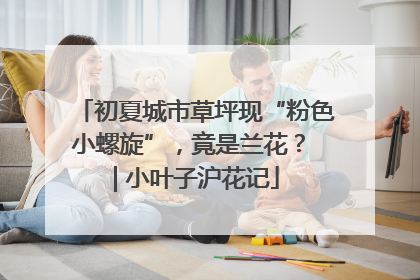 初夏城市草坪现“粉色小螺旋”，竟是兰花？ | 小叶子沪花记