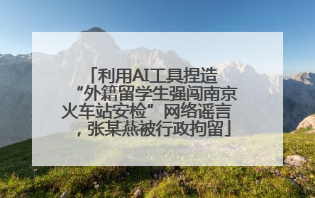 利用AI工具捏造 “外籍留学生强闯南京火车站安检”网络谣言，张某燕被行政拘留