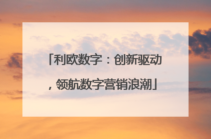 利欧数字：创新驱动，领航数字营销浪潮