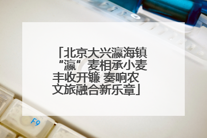 北京大兴瀛海镇“瀛”麦相承小麦丰收开镰 奏响农文旅融合新乐章