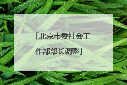 北京市委社会工作部部长调整
