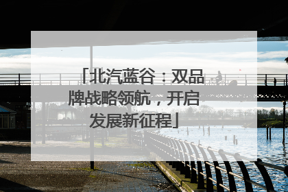 北汽蓝谷：双品牌战略领航，开启发展新征程