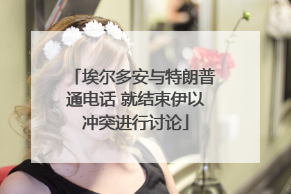 埃尔多安与特朗普通电话 就结束伊以冲突进行讨论