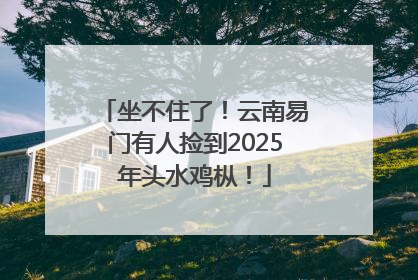 坐不住了！云南易门有人捡到2025年头水鸡枞！