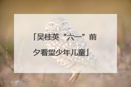 吴桂英“六一”前夕看望少年儿童