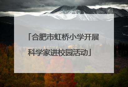 合肥市虹桥小学开展科学家进校园活动