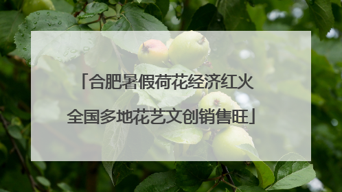 合肥暑假荷花经济红火 全国多地花艺文创销售旺