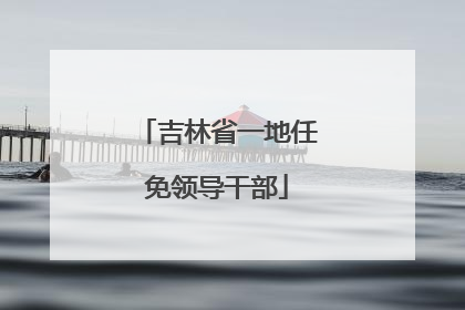 吉林省一地任免领导干部