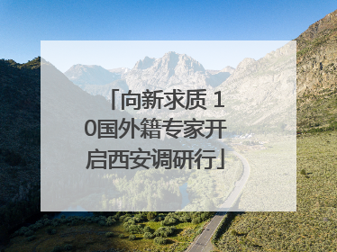 向新求质 10国外籍专家开启西安调研行