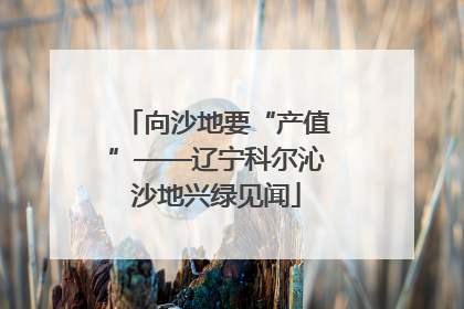向沙地要“产值”——辽宁科尔沁沙地兴绿见闻
