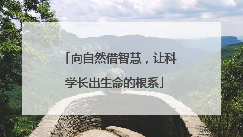向自然借智慧，让科学长出生命的根系