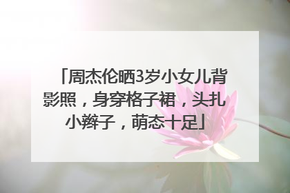 周杰伦晒3岁小女儿背影照，身穿格子裙，头扎小辫子，萌态十足