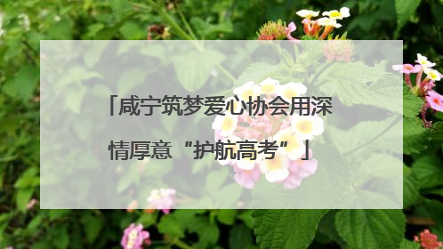 咸宁筑梦爱心协会用深情厚意“护航高考”