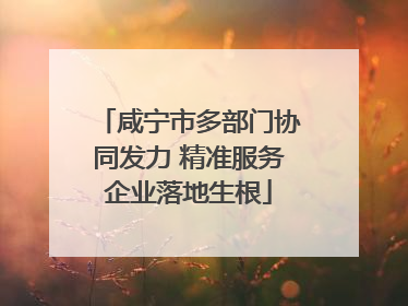 咸宁市多部门协同发力 精准服务企业落地生根