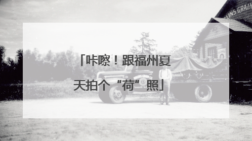 咔嚓！跟福州夏天拍个“荷”照
