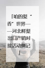 咱的梨“香”世界——河北鲜梨出口产销对接活动侧记