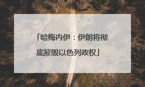 哈梅内伊：伊朗将彻底摧毁以色列政权