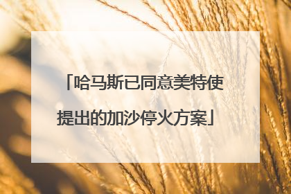 哈马斯已同意美特使提出的加沙停火方案