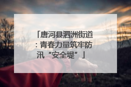 唐河县泗洲街道：青春力量筑牢防汛“安全堤”