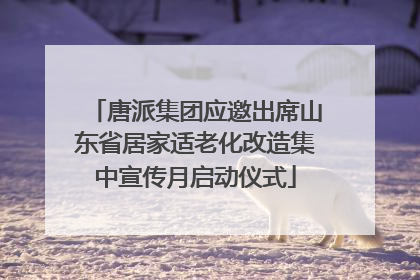 唐派集团应邀出席山东省居家适老化改造集中宣传月启动仪式