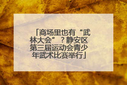 商场里也有“武林大会”？静安区第三届运动会青少年武术比赛举行