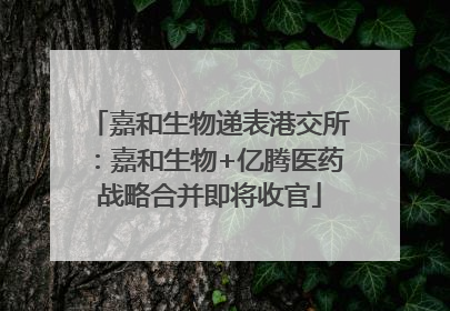 嘉和生物递表港交所：嘉和生物+亿腾医药战略合并即将收官