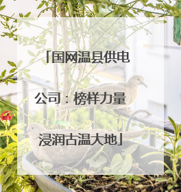 国网温县供电公司：榜样力量浸润古温大地