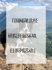 国网湖北经研院开展环境日系列活动