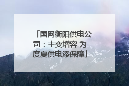 国网衡阳供电公司：主变增容 为度夏供电添保障