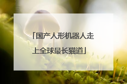 国产人形机器人走上全球最长猫道