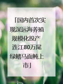 国内首次实现深远海养殖规模化投产 连江80万尾绿鳍马面鲀上市