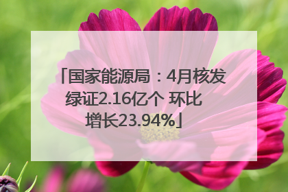 国家能源局：4月核发绿证2.16亿个 环比增长23.94%