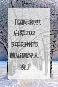 国际象棋启幕2025年郑州市首届棋牌大赛