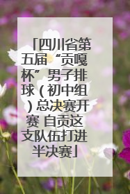 四川省第五届“贡嘎杯”男子排球（初中组）总决赛开赛 自贡这支队伍打进半决赛
