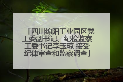 四川绵阳工业园区党工委副书记、纪检监察工委书记李玉琼 接受纪律审查和监察调查