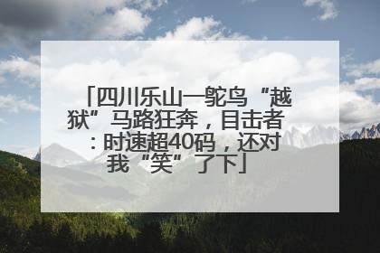 四川乐山一鸵鸟“越狱”马路狂奔，目击者：时速超40码，还对我“笑”了下