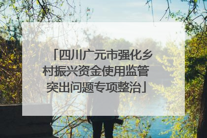四川广元市强化乡村振兴资金使用监管突出问题专项整治