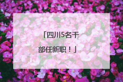 四川5名干部任新职！