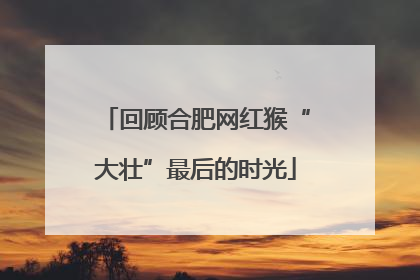回顾合肥网红猴“大壮”最后的时光