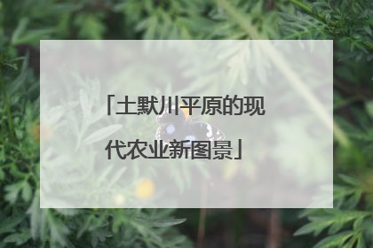 土默川平原的现代农业新图景